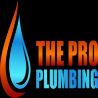 The Pro Plumbing Logo