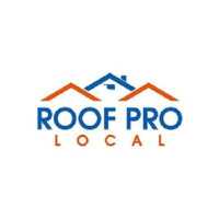 Roof Pro Local Logo