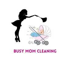 Busy Mom Cleaning Logo