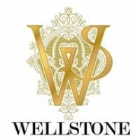 Wellstone Auto Spa Logo