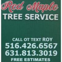 Red Maple Tree Services Logo
