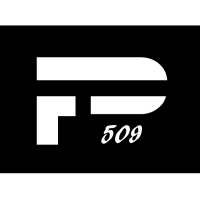 Precizion 509 Gymnastics Logo