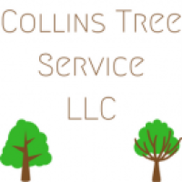 Collinstreeservice Logo
