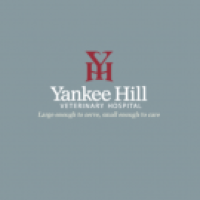 Yankee Hill Veterinary Hospital Logo