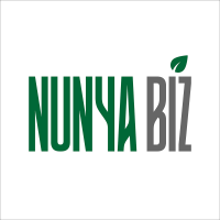 Nunya Biz LLC Logo