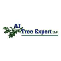 AJ Tree Expert Logo