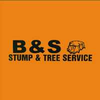 B & S Stump and Tree Service Logo