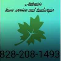 Antonio Lawn Service and Landscape Logo