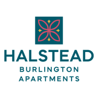 Halstead Burlington Logo