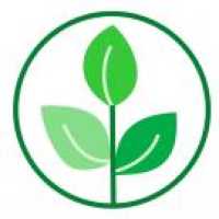 GreenBranch Dental L.L.C Logo