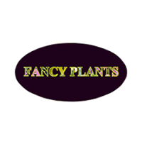 Fancy Plants Logo