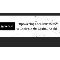 Brigins Digital Consultants LLC Logo