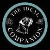 The Ideal Companion Logo