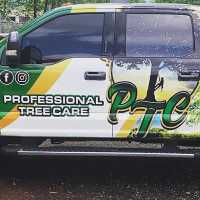Professional Tree Care Logo