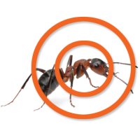Ortex Termite and Pest Control Logo