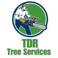 TDR Tree Solutions Logo