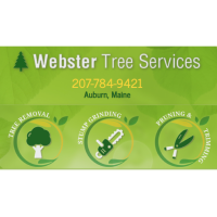 Webster Tree Service Logo