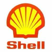 Joe's Cedar ST Shell Logo