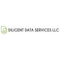 Diligent Data Services, LLC Logo