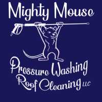 Mighty Mouse Pressure Washing and Roof Cleaning, LLC Logo