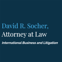 David R. Socher, Attorney at Law Logo