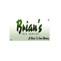 Brian's Tree Service Logo