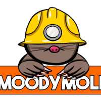Moody Moles Logo