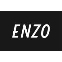 ENZO Logo