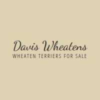 Davis Wheatens Logo