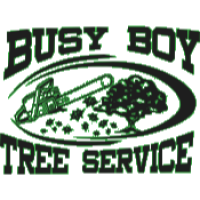Busy Boy Tree Services Logo