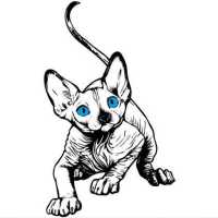 Sphynx kitty Cattery Logo