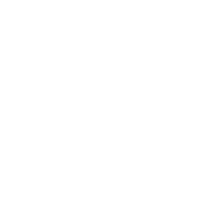 The Black Orchid Designs Logo