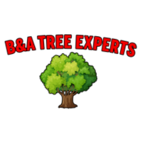BD Tree Service Logo