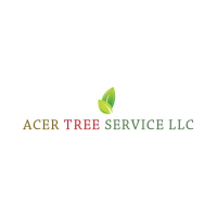 Acer Tree Service LLC Logo