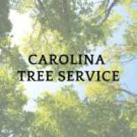 Carolina Tree Services Logo