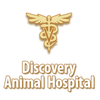 Discovery Animal Hospital Logo