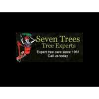 Seven Trees Co. Tree Experts Logo