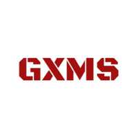 Genx Motorsports & Sound Logo