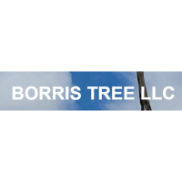 Borris Tree LLC Logo