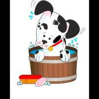 Spotted Dog Pet Grooming Logo