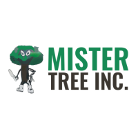 Mister Tree Inc Logo
