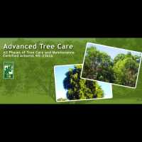Advanced Tree Care Logo