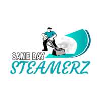 Same Day Steamerz Logo