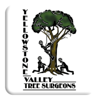 Yellowstone Valley Tree - SavATree Logo
