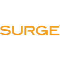 SURGE Staffing Logo