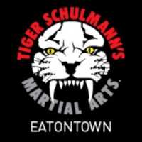 Tiger Schulmann's Martial Arts (Eatontown, NJ) Logo
