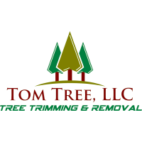 Tom Tree Logo
