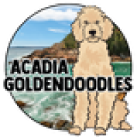 Acadia Goldendoodles Logo