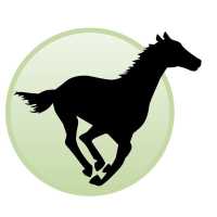 Running Horse Realty Logo