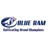 Blue Ram Inc Logo
